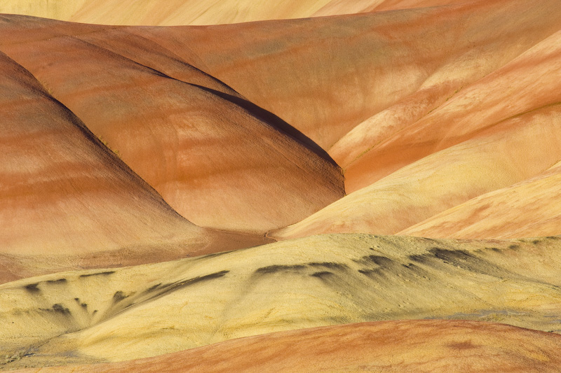 Detail Of The Painted Hills